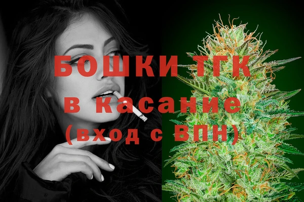 трава Наволоки