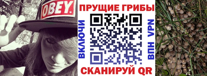 Галлюциногенные грибы MAGIC MUSHROOMS Саянск